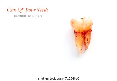 37,733 Blood on teeth Images, Stock Photos & Vectors | Shutterstock