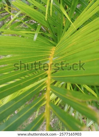 Similar – Image, Stock Photo No human being is indifferent