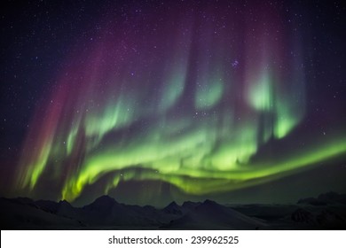 Extraordinary Northern Lights - Arctic Sky