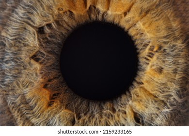 extreme blue eye macro shottexture background. Macro photo of human eye looking. close-up detail of green eye. Health concept in visual center. good vision and problems with eyes - Shutterstock ID 2159233165