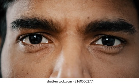 Extreme Close Up Face Of Young Arabian Male Adult Model Man Male Eyes With Dark Eyeballs Stare Looking At Camera Show Good Healthy Vision Perfect Eyesight After Renewal Medical Ophthalmology Procedure