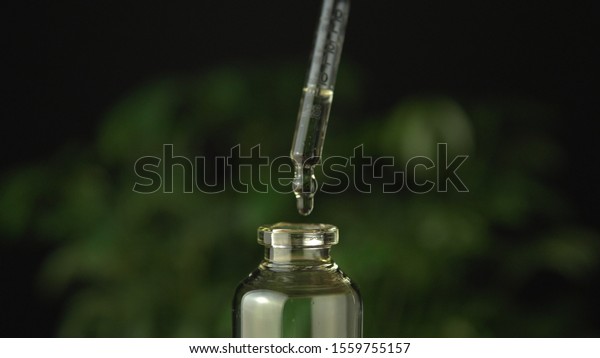 Extreme close up of the glass jar bottle with\
medical cannabis cbd oil concentrated resin dosing and diluted with\
a carrier oil for oral administration. On wood table and green hemp\
plant background.