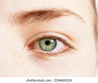 Extreme Close Up Of Green Eye