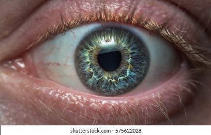 Extreme Close Up Of The Human Eye