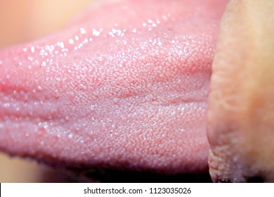 extreme close up human toungue show details of the taste buds