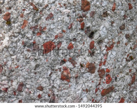 Extreme close up of a Pudding Stone found along the shores of Lake Huron.
