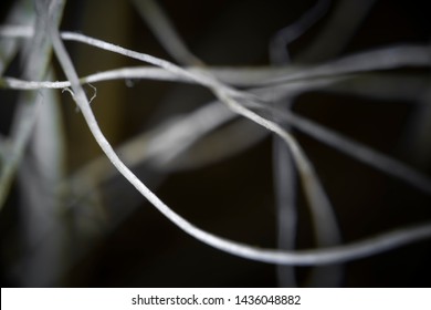 Extreme close up yarn thread