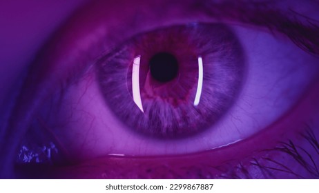 Extreme close-up Beautiful girl opens one eye, neon pink blue light. Attractive feminine look. Party nightclub, fashion show. Macro slow motion. The woman plays video games. Urban eyesight concept. - Shutterstock ID 2299867887
