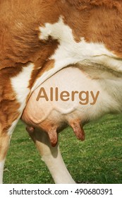 Extreme closeup of brown cow's udder with text saying allergy