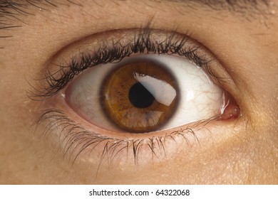 extreme closeup of brown eye of boy