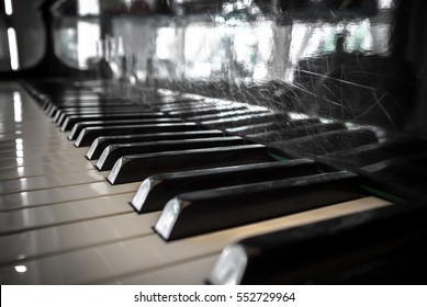 Extreme closeup of a classic vintage piano keyboard. Shallow depth of field. Defocused blurry background.