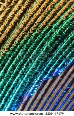 Extreme closeup of the feather of a peacock with beautiful colors as a background.