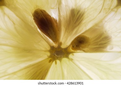 Extreme Closeup Of Lemon Pulp Glowing With Translucent Light