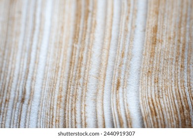 Extreme closeup of an old book from the side. Selective soft focus, shallow depth of field. Bibliophile, bookworm abstract background
