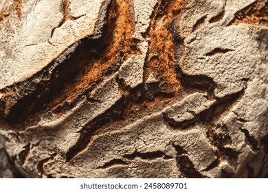 Extreme close-up of a sourdough bread crust showing detailed texture and cracks - Powered by Shutterstock