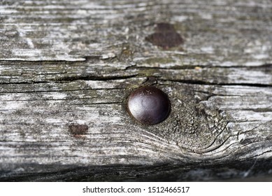 Extreme Close-up Of Very Aged, Weathered, Grungy Untreated Wood Of A Picnic Bench.  Shows Nail, Split, Texture And Imperfections For The Entire Frame.