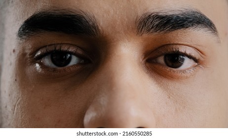 Extreme Facial Close Up Young Hispanic Male Eyes Arab Man With Brown Eyeballs Blinking Looking At Camera Demonstrate Perfect Eyesight After Ophthalmology Procedure Feeling Wellness Health Care Concept