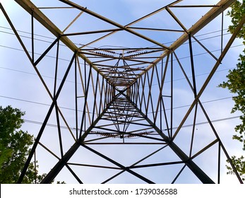 Extreme Low Angle And Worm’s Eye Shot Looking Up Through The Centre Of A Phylon In A Country Park In The UK