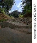 An extreme low-angle perspective captures a rough, rocky path winding through dense tropical forest and vegetation.