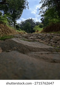 An extreme low-angle perspective captures a rough, rocky path winding through dense tropical forest and vegetation.