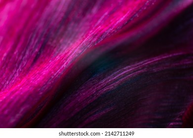 Extreme macro Bright close-up of a flower petal in pink. Abstract flower petal texture background. - Powered by Shutterstock