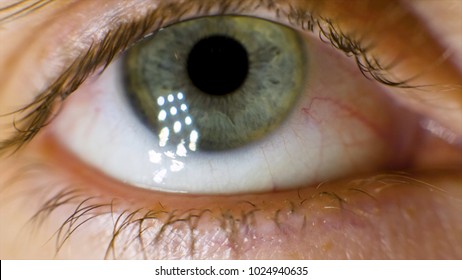 Extreme Macro Of A Brown Eye. Video. Closeup Of Man's Eye. Spot In The Eye. Macro. High Dynamic Range And Macro Shot Hazel Eye