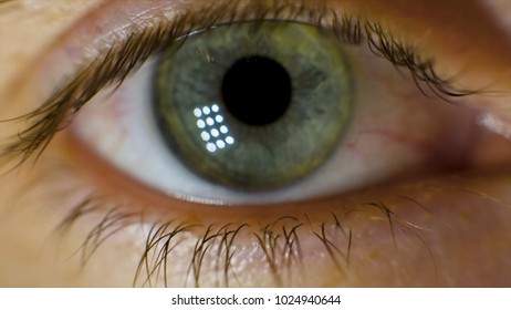 Extreme Macro Of A Brown Eye. Video. Closeup Of Man's Eye. Spot In The Eye. Macro. High Dynamic Range And Macro Shot Hazel Eye