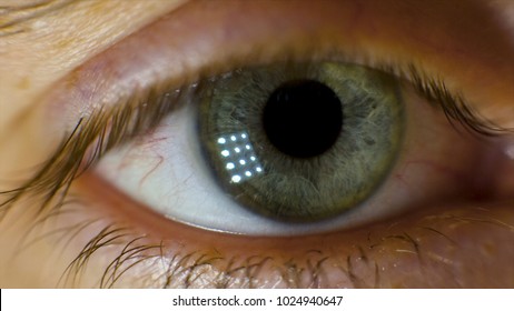 Extreme Macro Of A Brown Eye. Video. Closeup Of Man's Eye. Spot In The Eye. Macro. High Dynamic Range And Macro Shot Hazel Eye