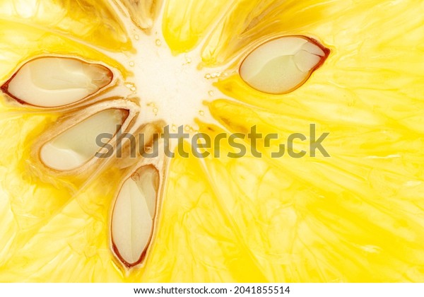 Extreme macro Close-up of Organic Indian Citrus fruit\
sweet limetta or mosambi (Citrus limetta) sliced part it show juice\
glands and seed, light passes through the slice,  it is an green\
and yellow 