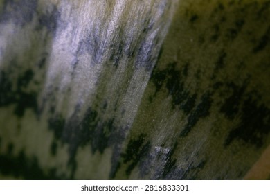 Extreme macro leaf texture closeup featuring selective focus and shallow depth of field, revealing intricate plant detail for organic backgrounds and natural studies.
