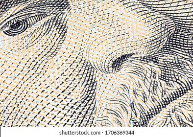 Extreme Macro Photography Of A 50 US Dollar Banknote. Ultra Close Up Of A Fifty American Dollar Note. US Dollar Is The World Currency.  Portrait Of Ulysses Grant On The Front Of The Paper Banknote. 