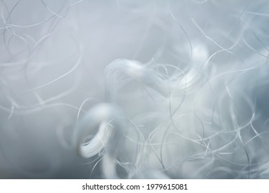 Extreme macro of polyester stable fiber. Selective focus, shallow depth of field. - Shutterstock ID 1979615081