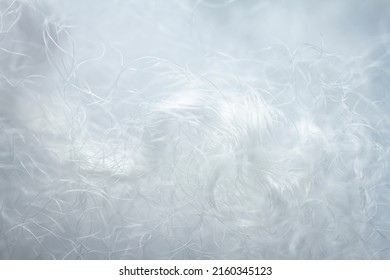 Extreme macro of polyester stable fiber. Selective focus, shallow depth of field. - Shutterstock ID 2160345123