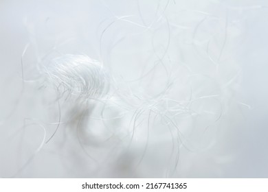 Extreme macro of polyester stable fiber. Selective focus, shallow depth of field.