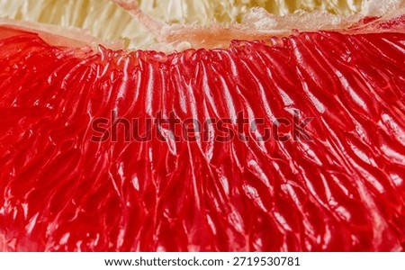 Extreme Macro of Ruby Red Grapefruit Juice Vesicles and Pith