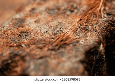 Extreme Macro Rust Texture Corroded Metal Surface