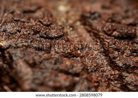 Extreme Macro Rust Texture Corroded Metal Surface
