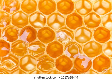 Extreme macro shot of a honey filled honeycomb - Shutterstock ID 1017628444