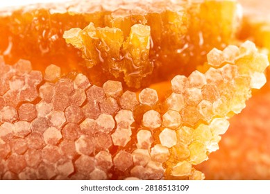Extreme macro side view of a broken honeycomb revealing hexagonal wax cells filled with liquid honey and surrounded by sealed wax caps. Studio photograph with exceptional detail on a white background.