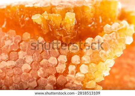 Extreme macro side view of a broken honeycomb revealing hexagonal wax cells filled with liquid honey and surrounded by sealed wax caps. Studio photograph with exceptional detail on a white background.
