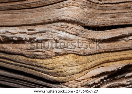Extreme Macro Texture of Aged Antique Book Pages with Yellowed Weathered Edges, Close Up of Stacked Vintage Paper Sheets for History Education, Library Archive and Academic Research Background