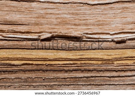 Extreme Macro Texture of Aged Antique Book Pages with Yellowed Weathered Edges, Close Up of Stacked Vintage Paper Sheets for History Education, Library Archive and Academic Wisdom Background