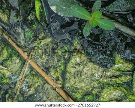 Extreme macro view of the water's surface, showing bubbles, submerged green slime, and small debris. The tangled composition captures the chaotic, messy detail of a freshwater environment.