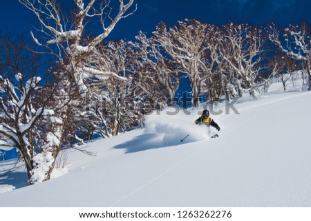 Extreme pro skier shredding the deep powder snow in the sunny Japanese mountains. Cool shot of an active male tourist skiing off piste and carving down the untouched mountain. Awesome winter sport.