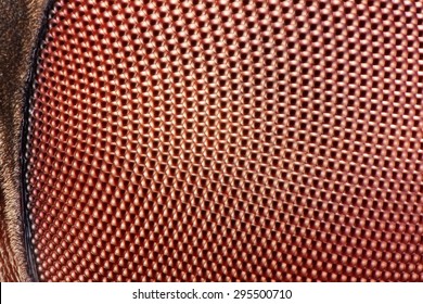 An extreme sharp 25:1 magnification of the compound eye of a fly taken with Mitutoyo microscope objective.