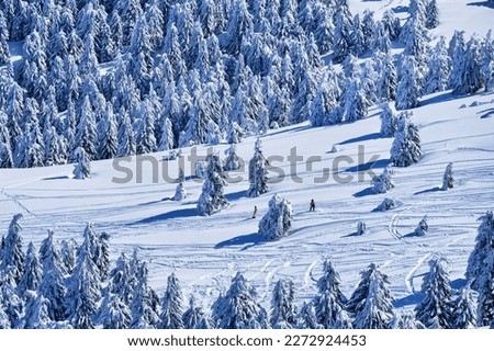 Skiparadies Tiefschnee