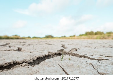 Extreme Weather Affects A Dry And Cracked Farmland