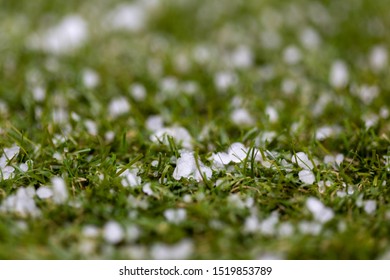 Extreme Weather Hail Stones With Selective Focus On The Ground In South Australia On 18th August 2019