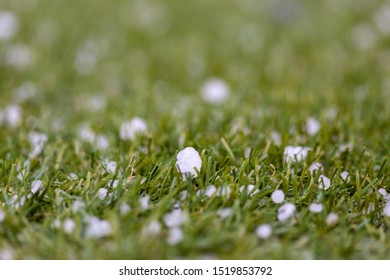 Extreme Weather Hail Stones With Selective Focus On The Ground In South Australia On 18th August 2019