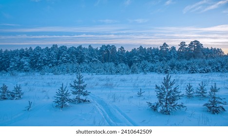 Extreme winter conditions with severe frost and heavy snowfall. The trees are covered with a thick layer of snow. Creating a beautiful and magical scene - Powered by Shutterstock